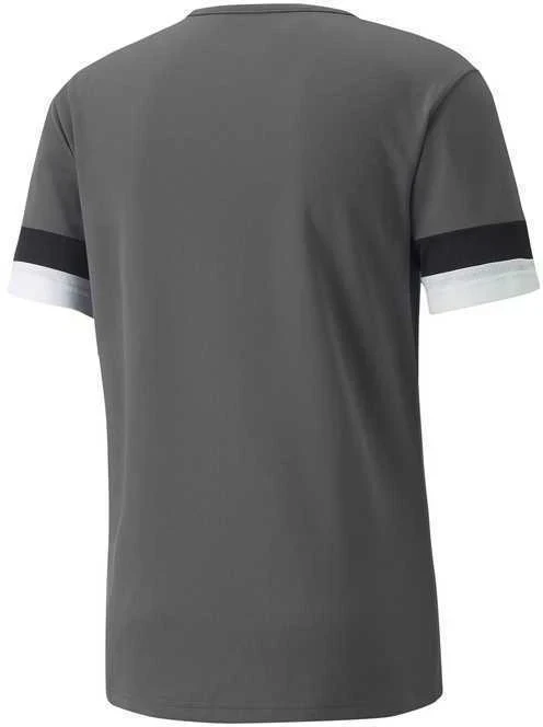 Puma Futbolo Marškinėliai Vyrams TeamRise Jersey Pilkas 704932 13