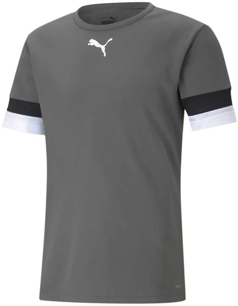 Puma Futbolo Marškinėliai Vyrams TeamRise Jersey Pilkas 704932 13