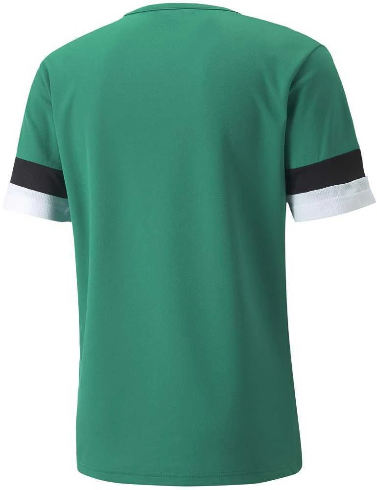 Puma Futbolo Marškinėliai Vyrams TeamRise Jersey Žalias 704932 05