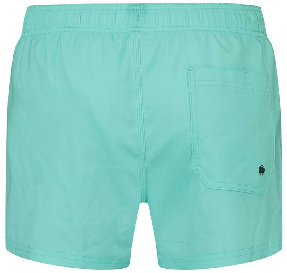 Puma Maudymosi Šortai Vyrams Swim Men Žalias 907658 19