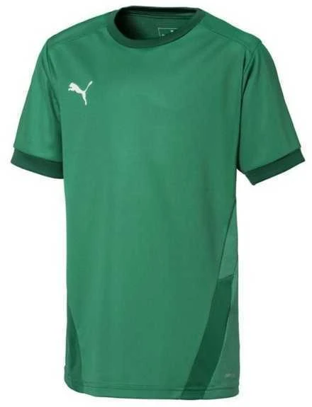 Puma Marškinėliai Paaugliams TeamGoal 23 Jerse Žalias 704160 05