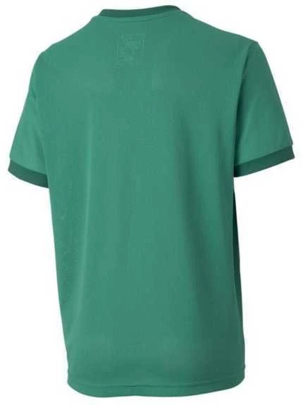 Puma Marškinėliai Paaugliams TeamGoal 23 Jerse Žalias 704160 05