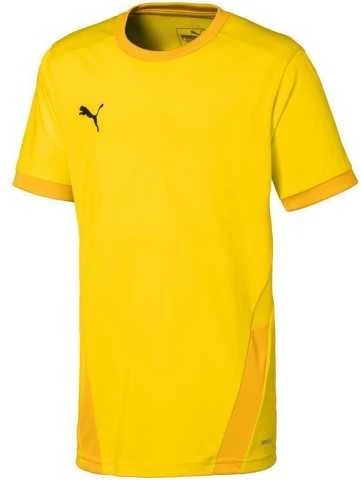 Puma Marškinėliai Paaugliams TeamGoal 23 Jerse Žalias 704160 05