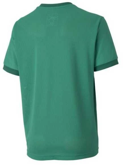 Puma Marškinėliai Paaugliams TeamGoal 23 Jerse Žalias 704160 05