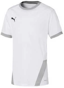 Puma Marškinėliai Paaugliams TeamGoal 23 Jerse Žalias 704160 05