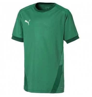 Puma Marškinėliai Paaugliams TeamGoal 23 Jerse Žalias 704160 05