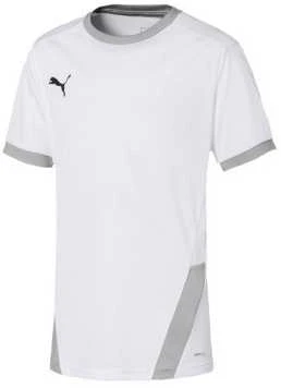 Puma Marškinėliai Paaugliams TeamGoal 23 Jerse Žalias 704160 05