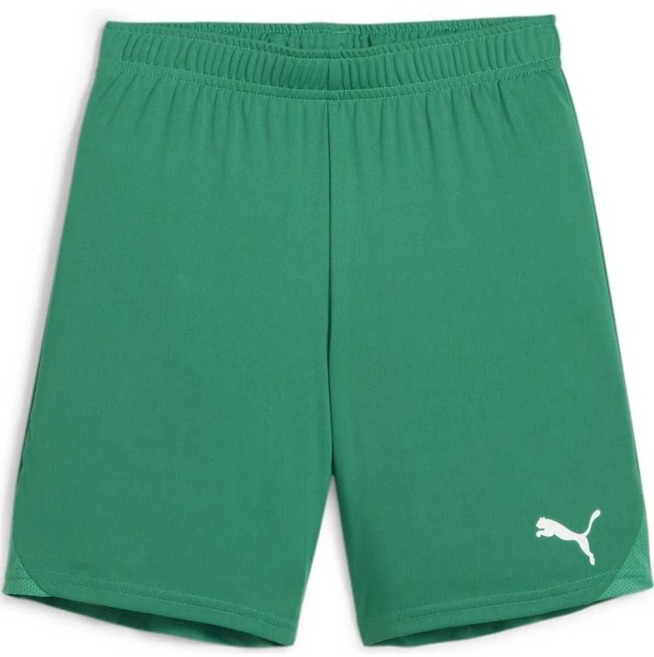 Puma Pums Šortai Paaugliams TeamGoal Shorts Jr Žalias 705753 05