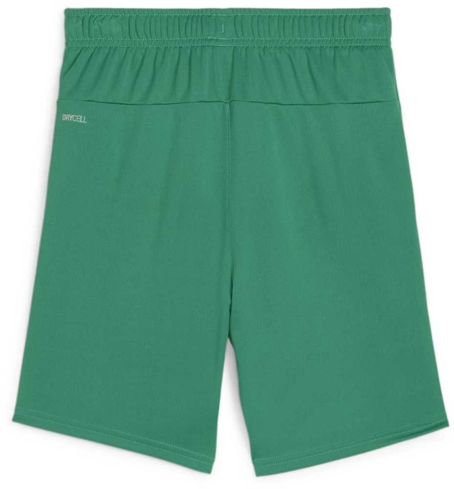 Puma Pums Šortai Paaugliams TeamGoal Shorts Jr Žalias 705753 05
