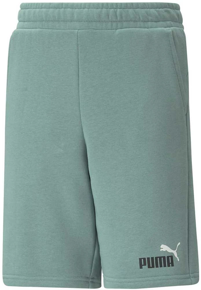 Puma Šortai Paaugliams Ess+ 2 Col Žalias 586989 84