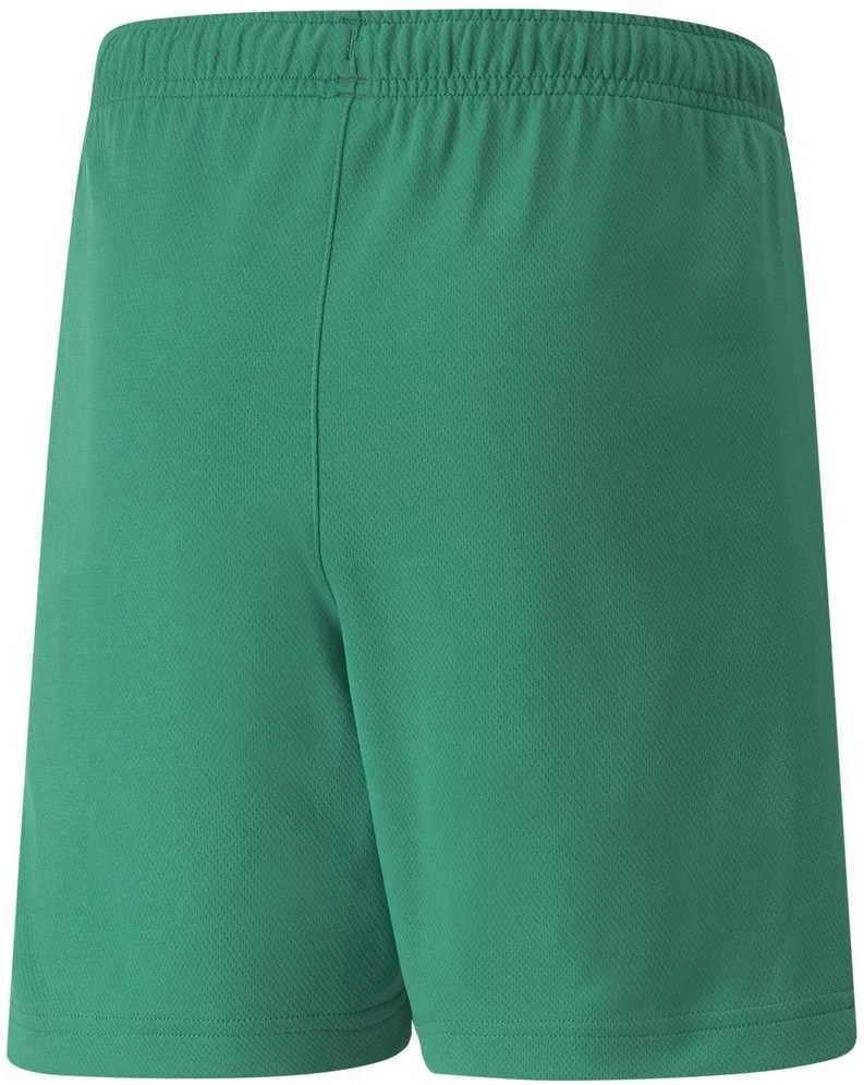 Puma Šortai Paaugliams Teamrise Short Jr Žalias 704943 05