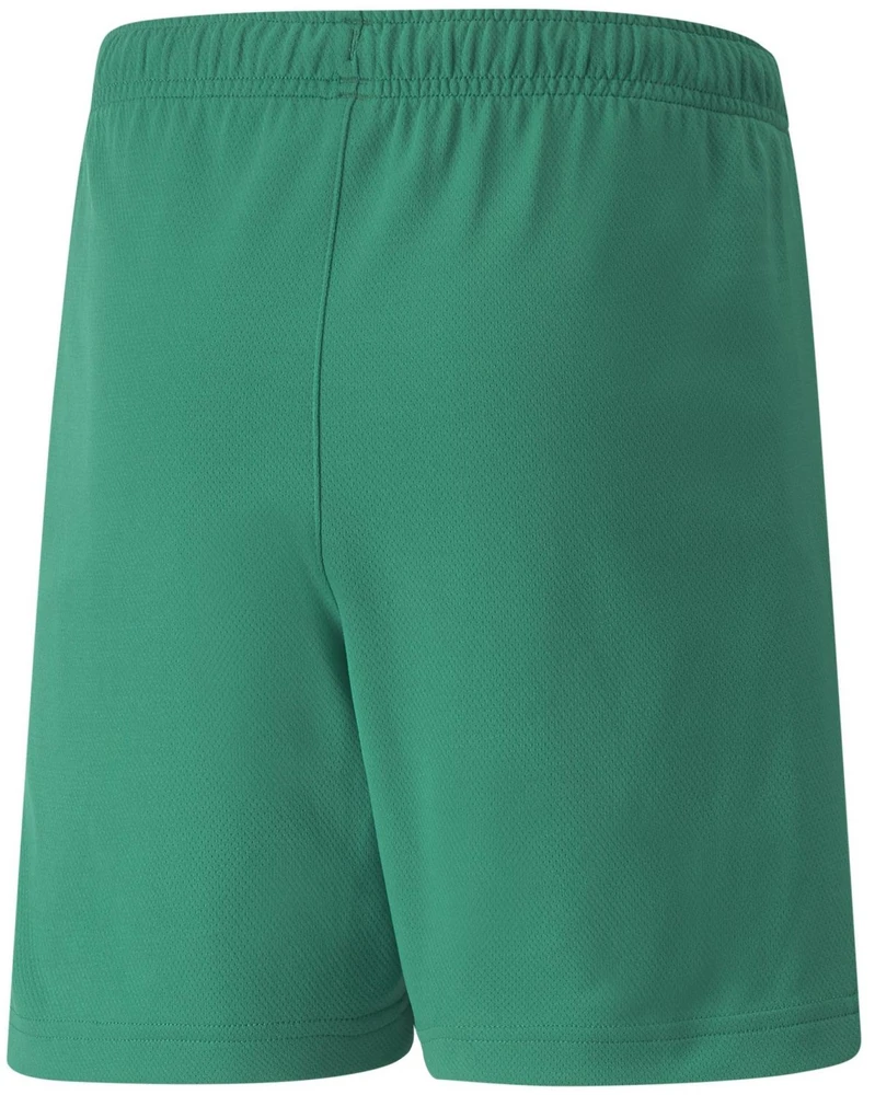 Puma Šortai Paaugliams Teamrise Short Jr Žalias 704943 05