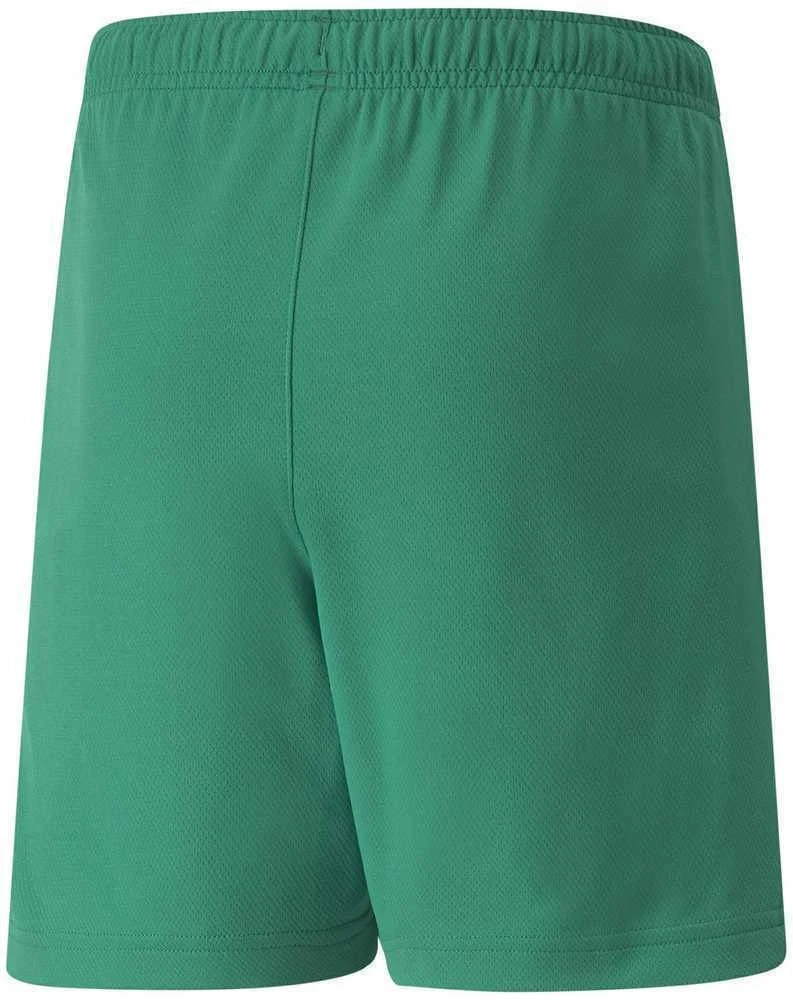 Puma Šortai Paaugliams Teamrise Short Jr Žalias 704943 05