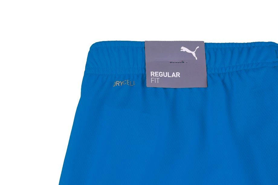 Puma Šortai Paaugliams Teamrise Short Jr Mėlyna 704943 02