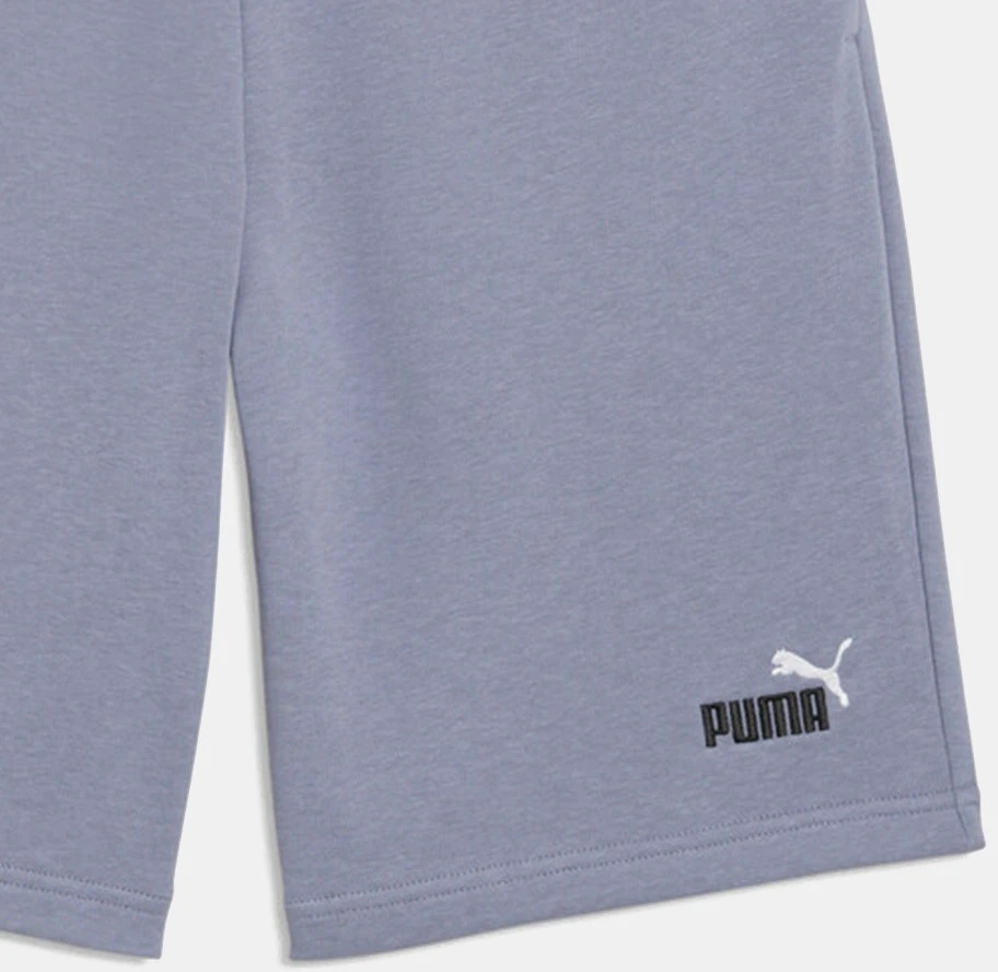 Puma Šortai Vyrams Ess 2 Color No. 1 Shorts Lilac 684715 65