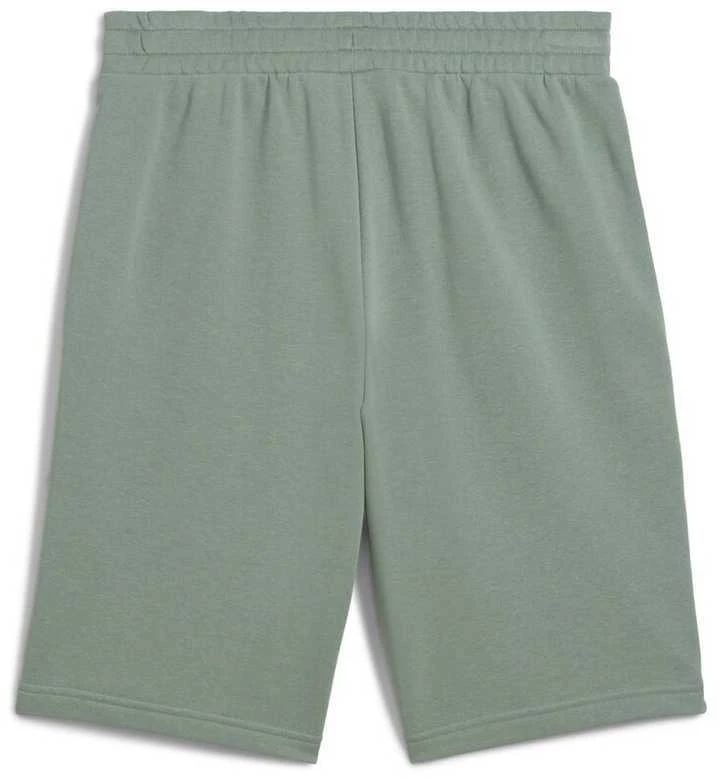 Puma Šortai Vyrams Ess 2 Color No. 1 Shorts Žalias 684715 30