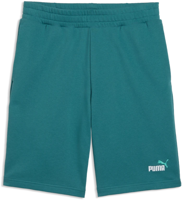 Puma Šortai Vyrams Ess 2 Color No. 1 Shorts Žalias 684715 41