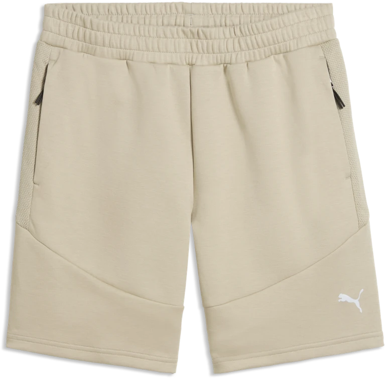Puma Šortai Vyrams Evostripe Men's Shorts rusvai gelsvas 692192 61