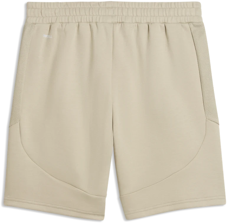 Puma Šortai Vyrams Evostripe Men's Shorts rusvai gelsvas 692192 61