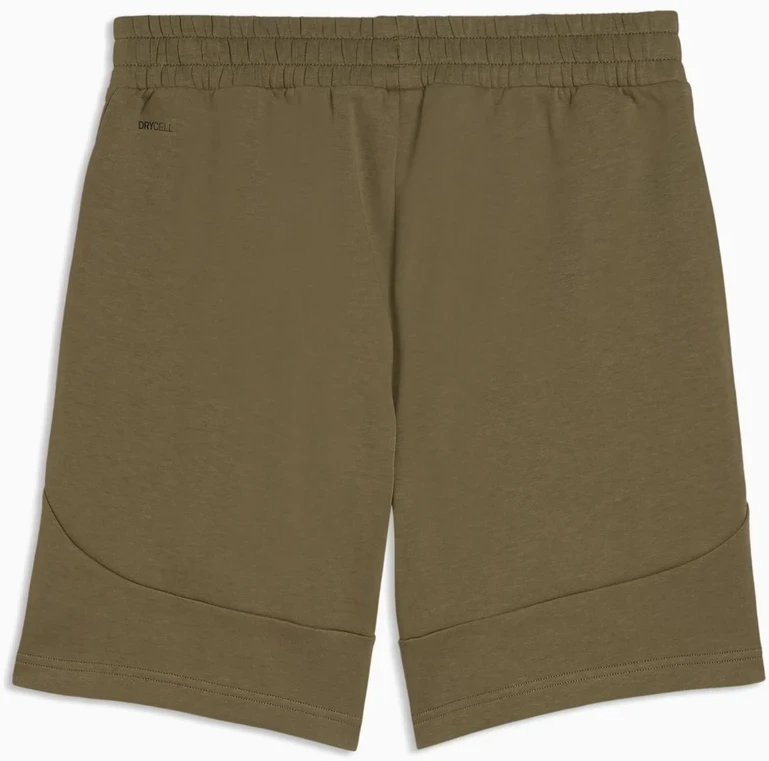Puma Šortai Vyrams Pumatech Shorts Khaki 692182 81