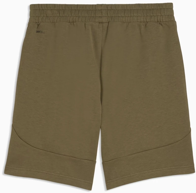 Puma Šortai Vyrams Pumatech Shorts Khaki 692182 81