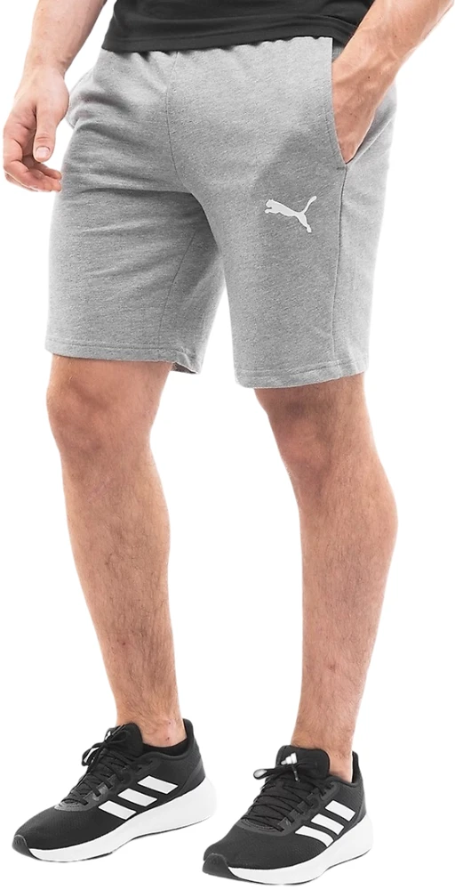 Puma Šortai Vyrams TeamGoal Casuals Shorts Pilkas 658608 33