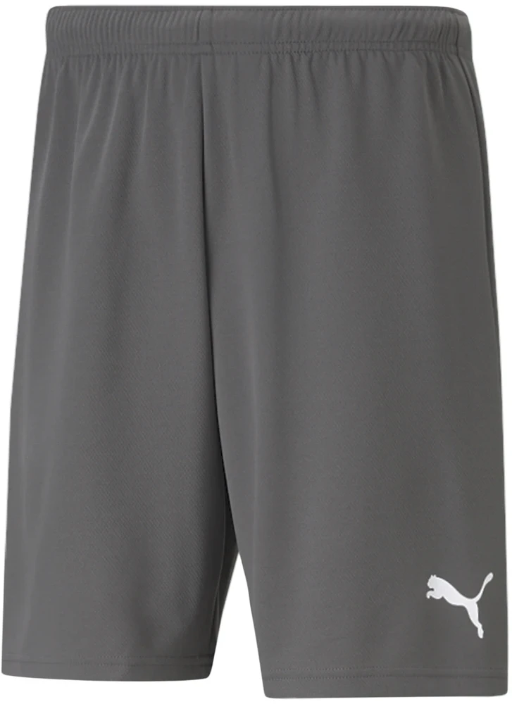 Puma Šortai Vyrams Teamrise Short Pilkas 704942 13