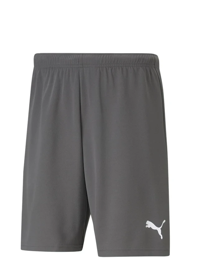 Puma Šortai Vyrams Teamrise Short Pilkas 704942 13