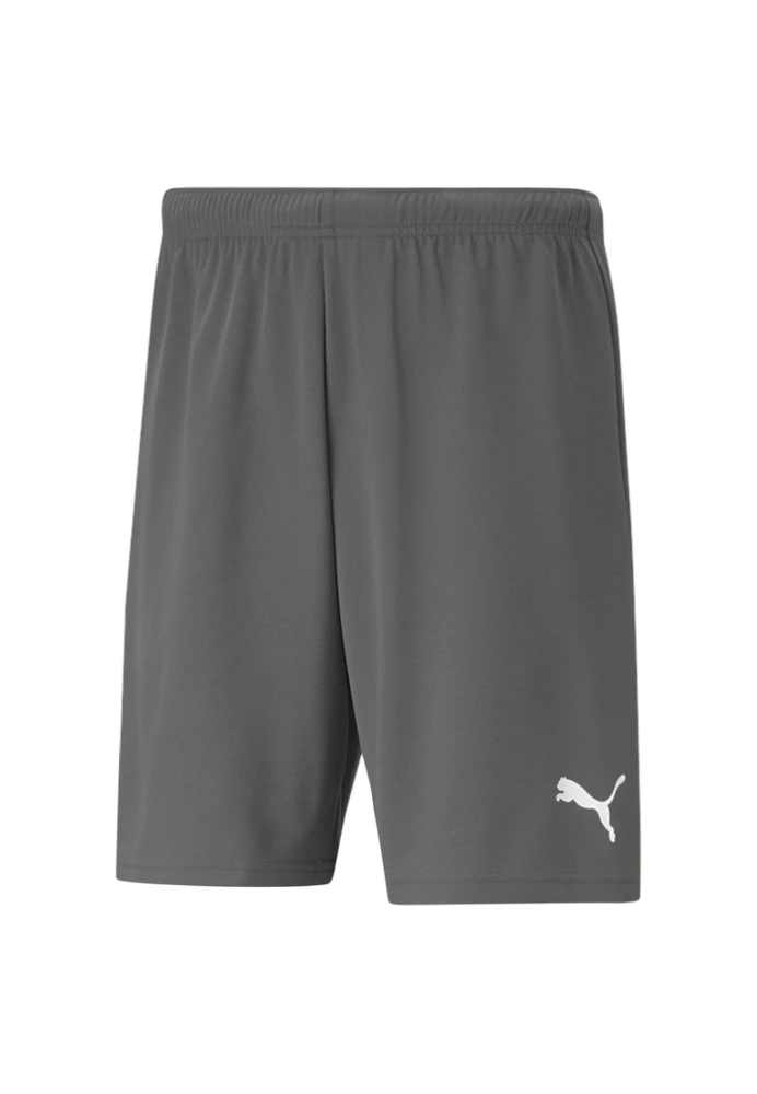 Puma Šortai Vyrams Teamrise Short Pilkas 704942 13