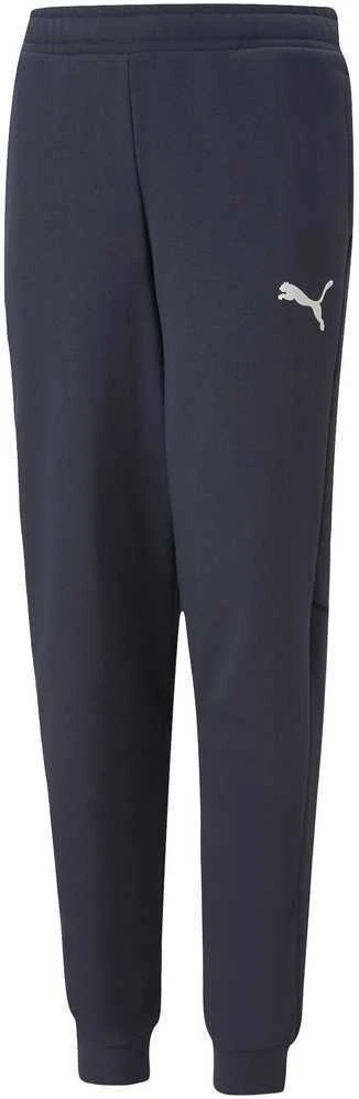 Puma Sportinės Kelnės Paaugliams Active Sports Sweatpants Tr Navy 670076 43
