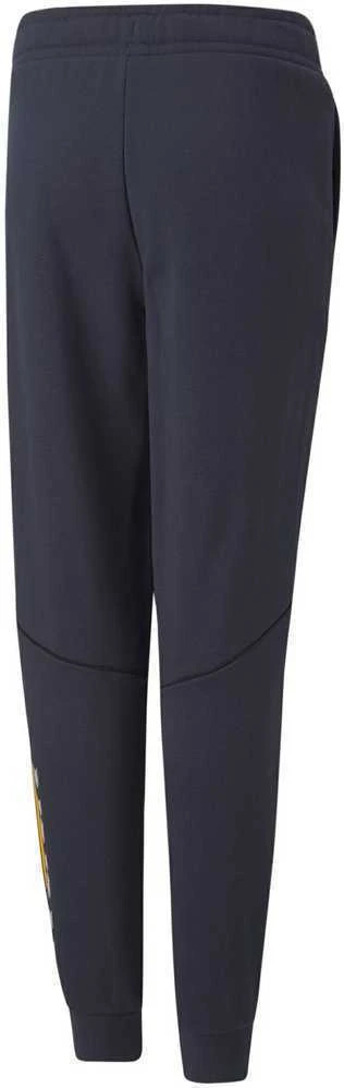 Puma Sportinės Kelnės Paaugliams Active Sports Sweatpants Tr Navy 670076 43