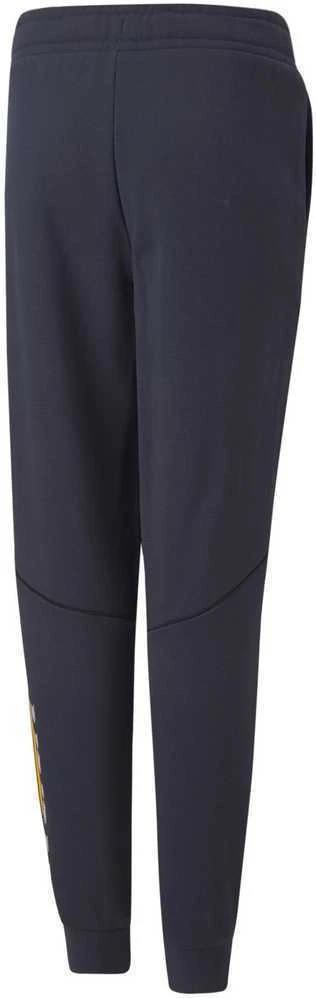 Puma Sportinės Kelnės Paaugliams Active Sports Sweatpants Tr Navy 670076 43