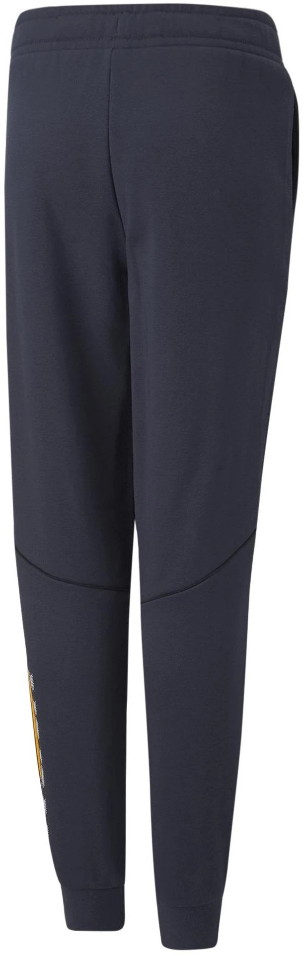 Puma Sportinės Kelnės Paaugliams Active Sports Sweatpants Tr Navy 670076 43