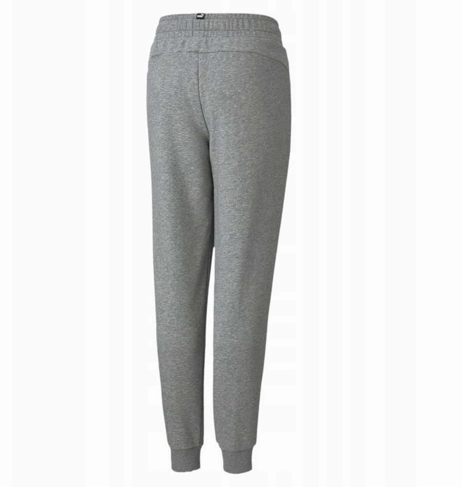 Puma Sportinės Kelnės Paaugliams Ess+ 2 Col Logo Pants Fl Pilkas 586988 03