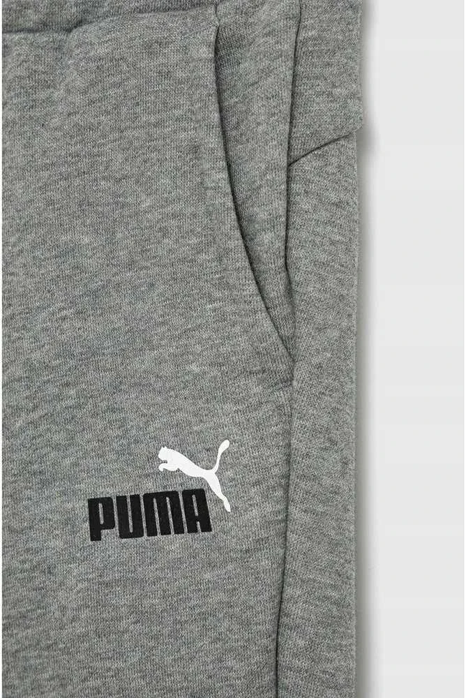 Puma Sportinės Kelnės Paaugliams Ess+ 2 Col Logo Pants Fl Pilkas 586988 03