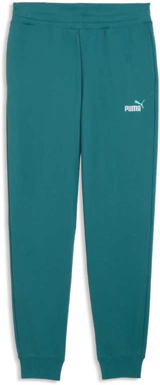 Puma Sportinės Kelnės Vyrams Ess 2 Color No. 1 Žalias 684714 41