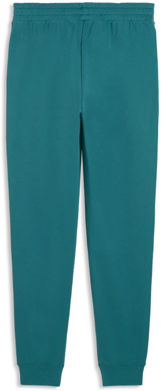 Puma Sportinės Kelnės Vyrams Ess 2 Color No. 1 Žalias 684714 41