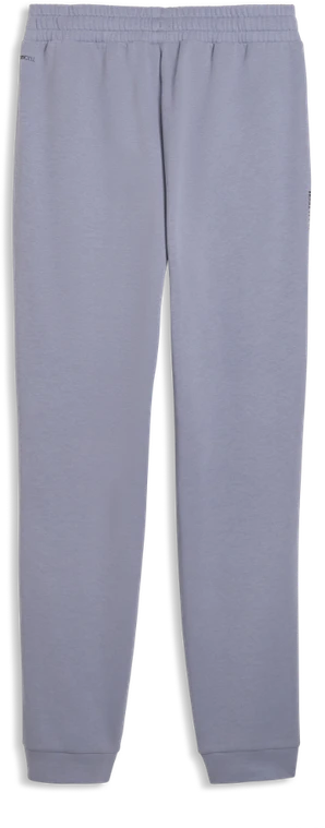 Puma Sportinės Kelnės Vyrams Pumatech Pants Violetinė 692183 65