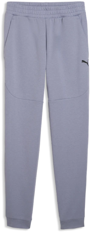 Puma Sportinės Kelnės Vyrams Pumatech Pants Violetinė 692183 65