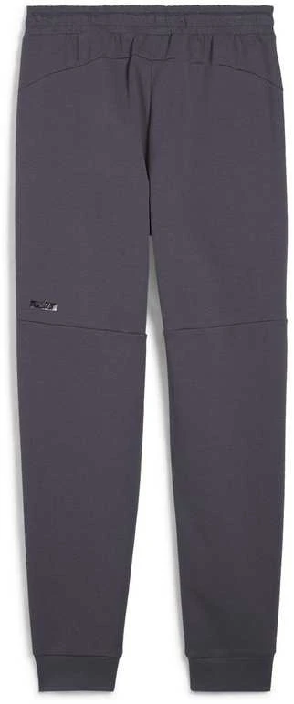 Puma Sportinės Kelnės Vyrams Rad/Cal Pants Galactic Gray 681621 69