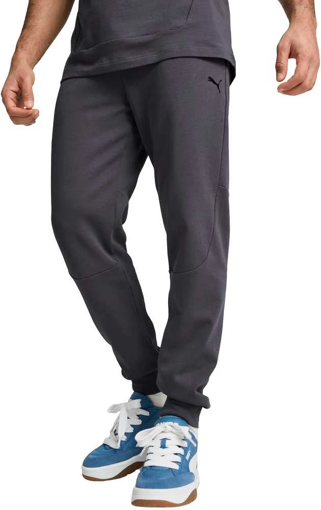 Puma Sportinės Kelnės Vyrams Rad/Cal Pants Galactic Gray 681621 69