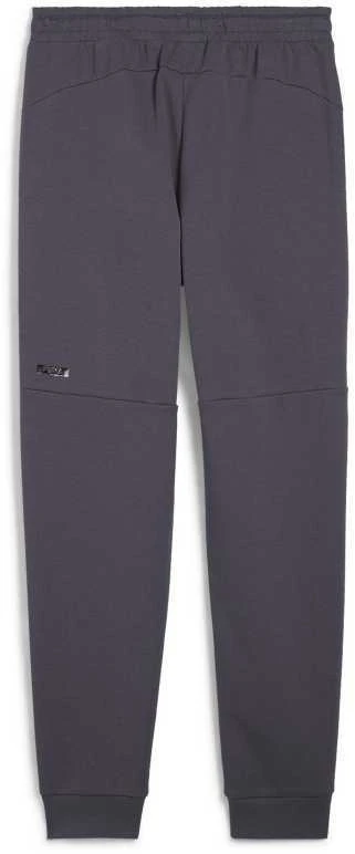 Puma Sportinės Kelnės Vyrams Rad/Cal Pants Galactic Gray 681621 69