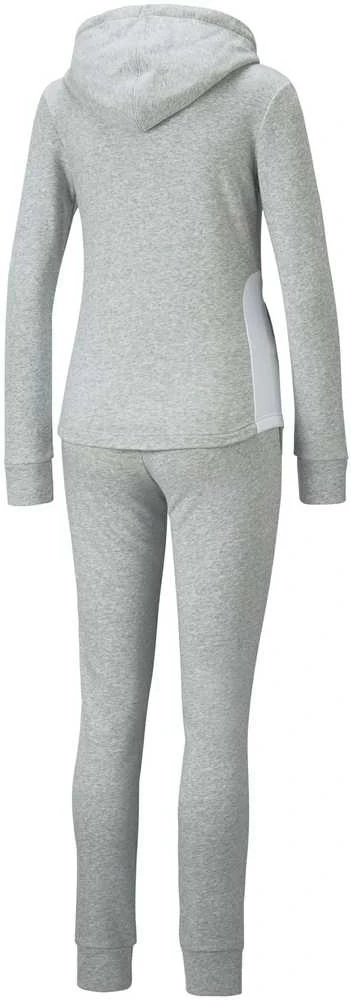Puma Sportinis Kostiumas Moterims Classic Hooded Pilkas 847129 04