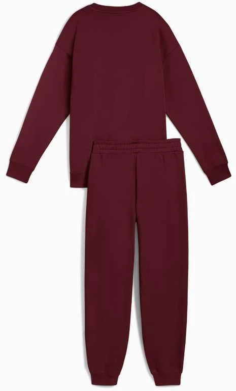 Puma Sportinis Kostiumas Moterims Sweat Suit Relaxed Fl Bordo 688160 96