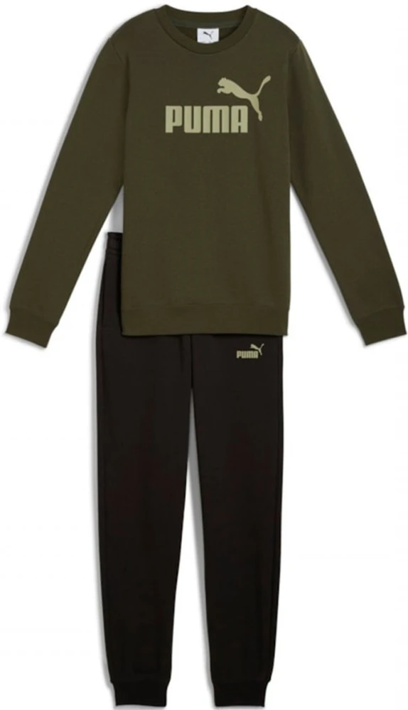 Puma Sportinis Kostiumas Paaugliams Ess No.1 Logo Crew Sweat Fl Žalias Juodas 689721 70