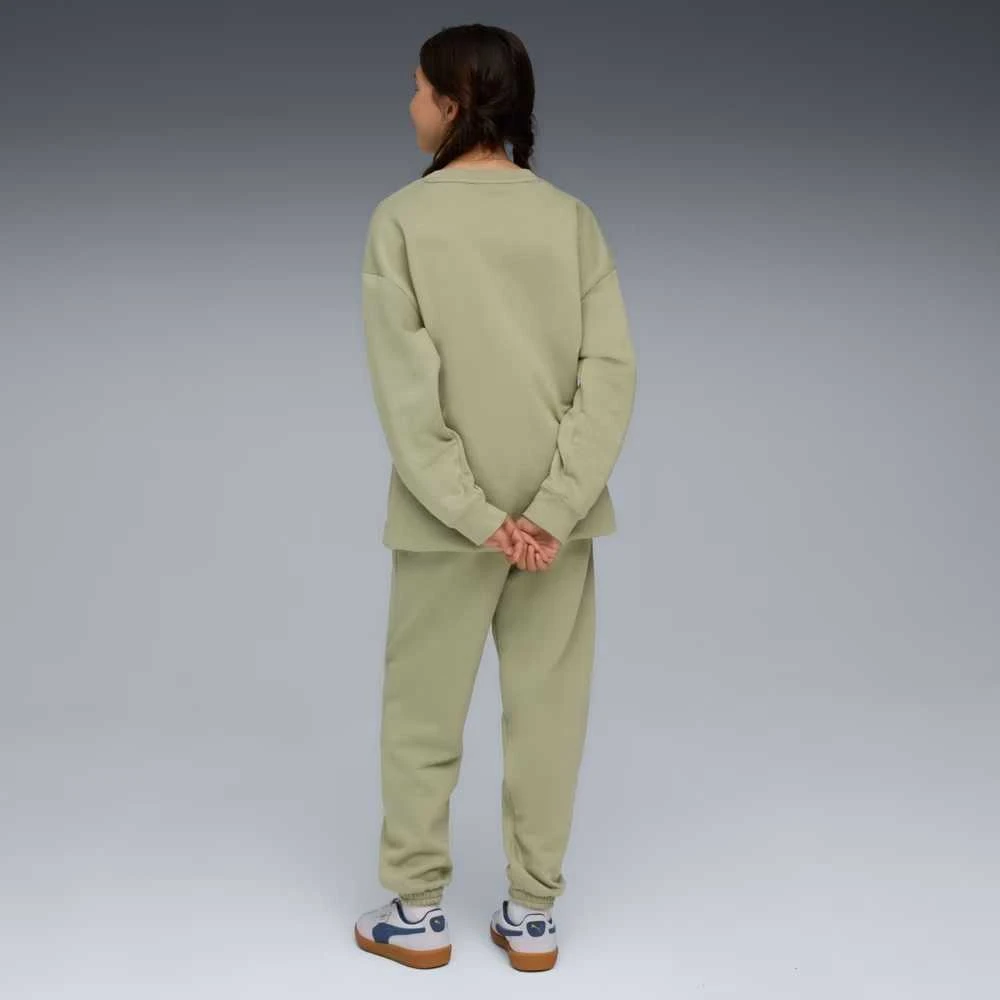 Puma Sportinis Kostiumas Paaugliams Loungewear Sweat Suit Fl Lux Army 689727 82
