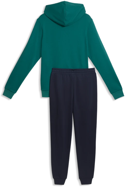 Puma Sportinis Kostiumas Vyrams Hooded Sweat Suit Žalias Juodas 691769 41