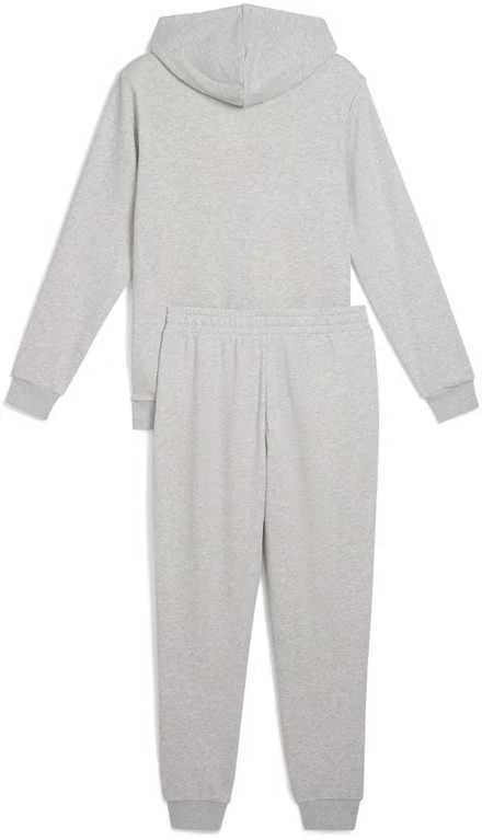 Puma Sportinis Kostiumas Vyrams Hooded Sweat Suit Tr Pilkas 684855 04