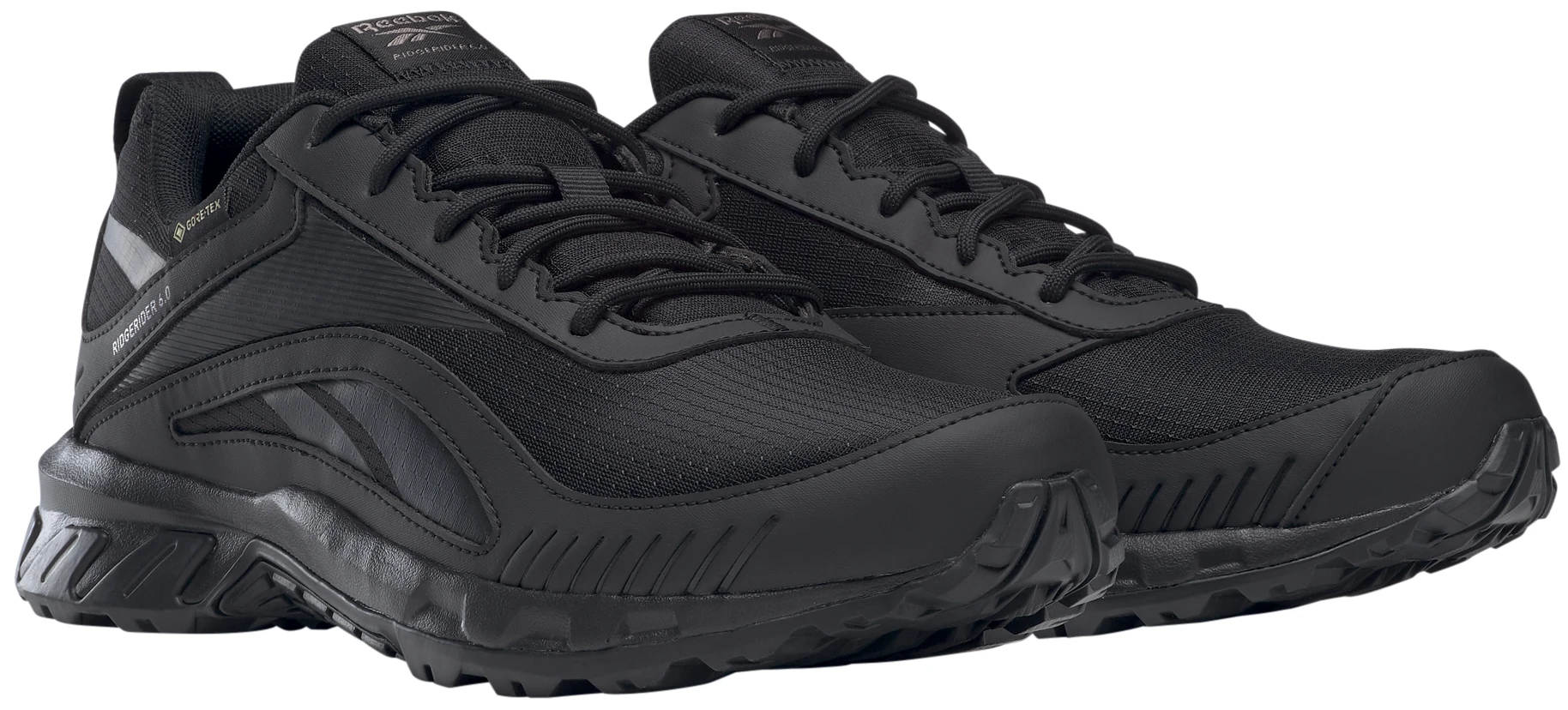 Reebok Avalynė Vyrams Ridgerider 6 Gtx Juodas FW9642