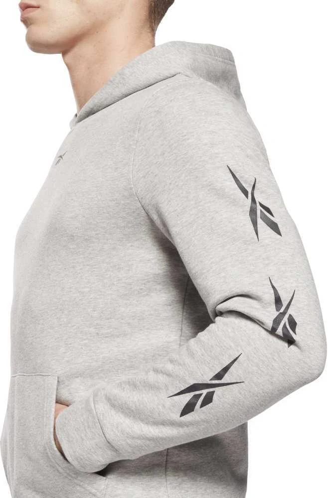 Reebok Sportinis Kostiumas Vyrams Te Vector Tracksuit Pilkas